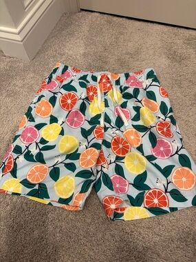 Hanna Andersson Men's Citrus Print Swim Shorts - Multicolor